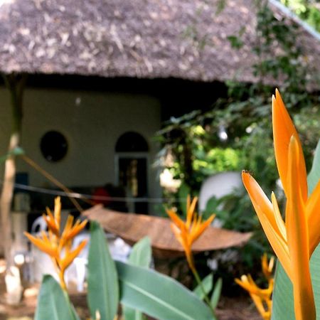 Kim'S Garden Villa Anda  Eksteriør bilde