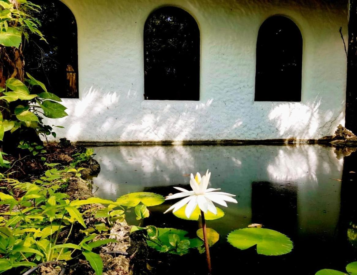 Kim'S Garden Villa Anda  Eksteriør bilde