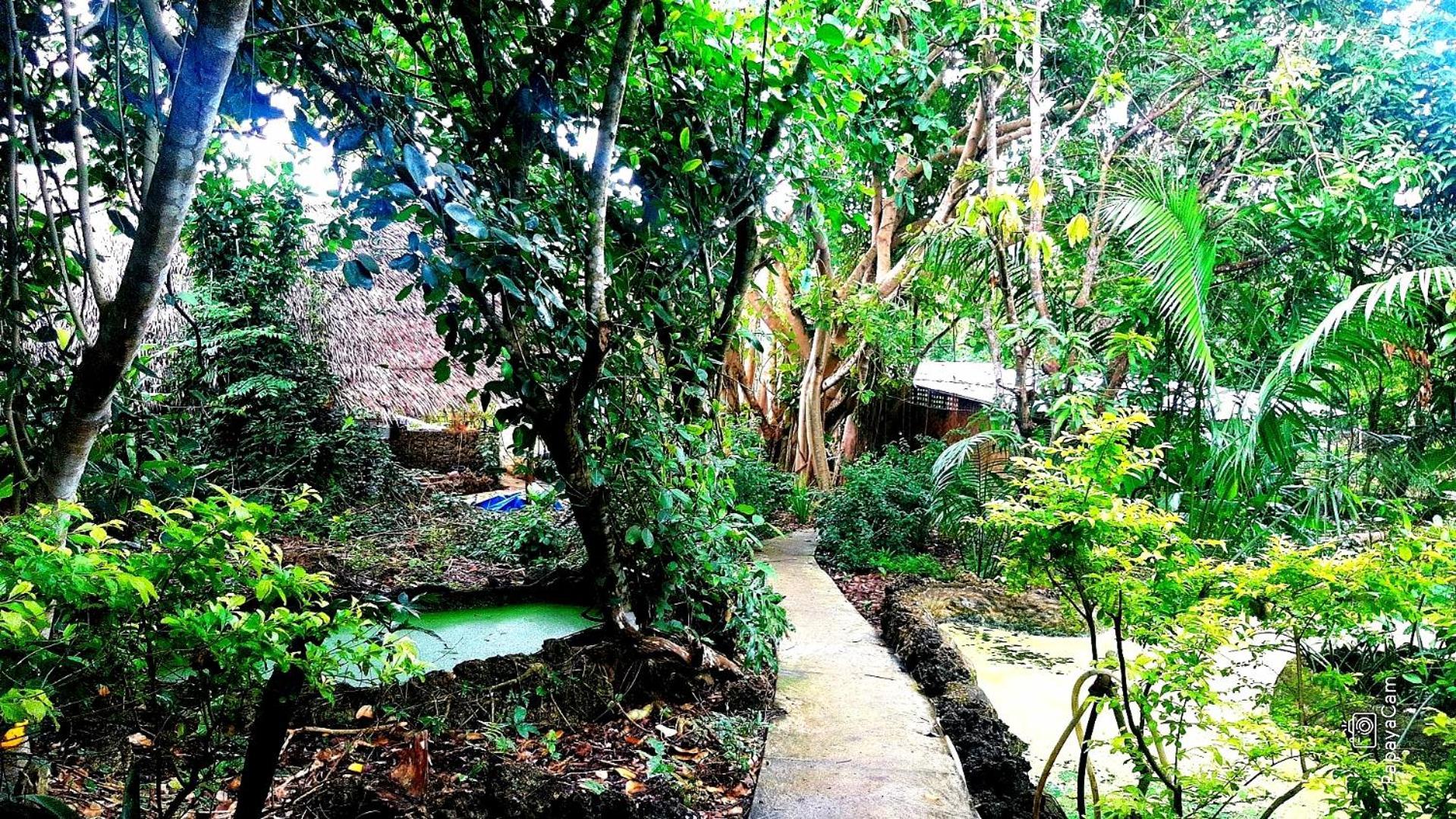 Kim'S Garden Villa Anda  Eksteriør bilde