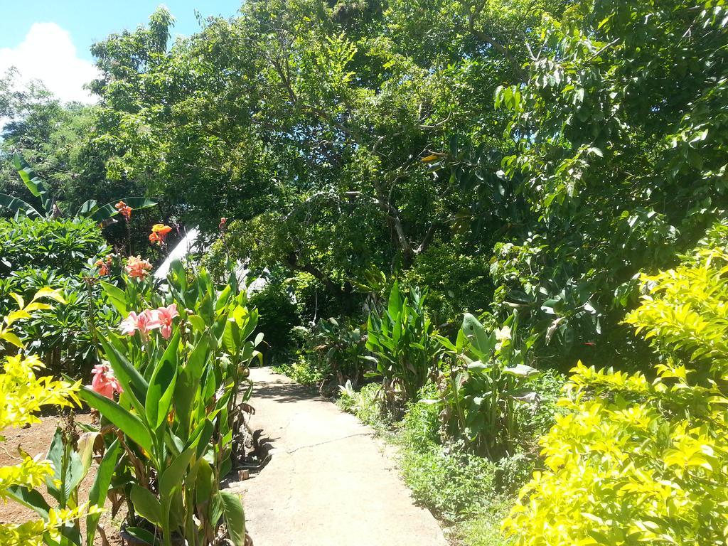 Kim'S Garden Villa Anda  Eksteriør bilde